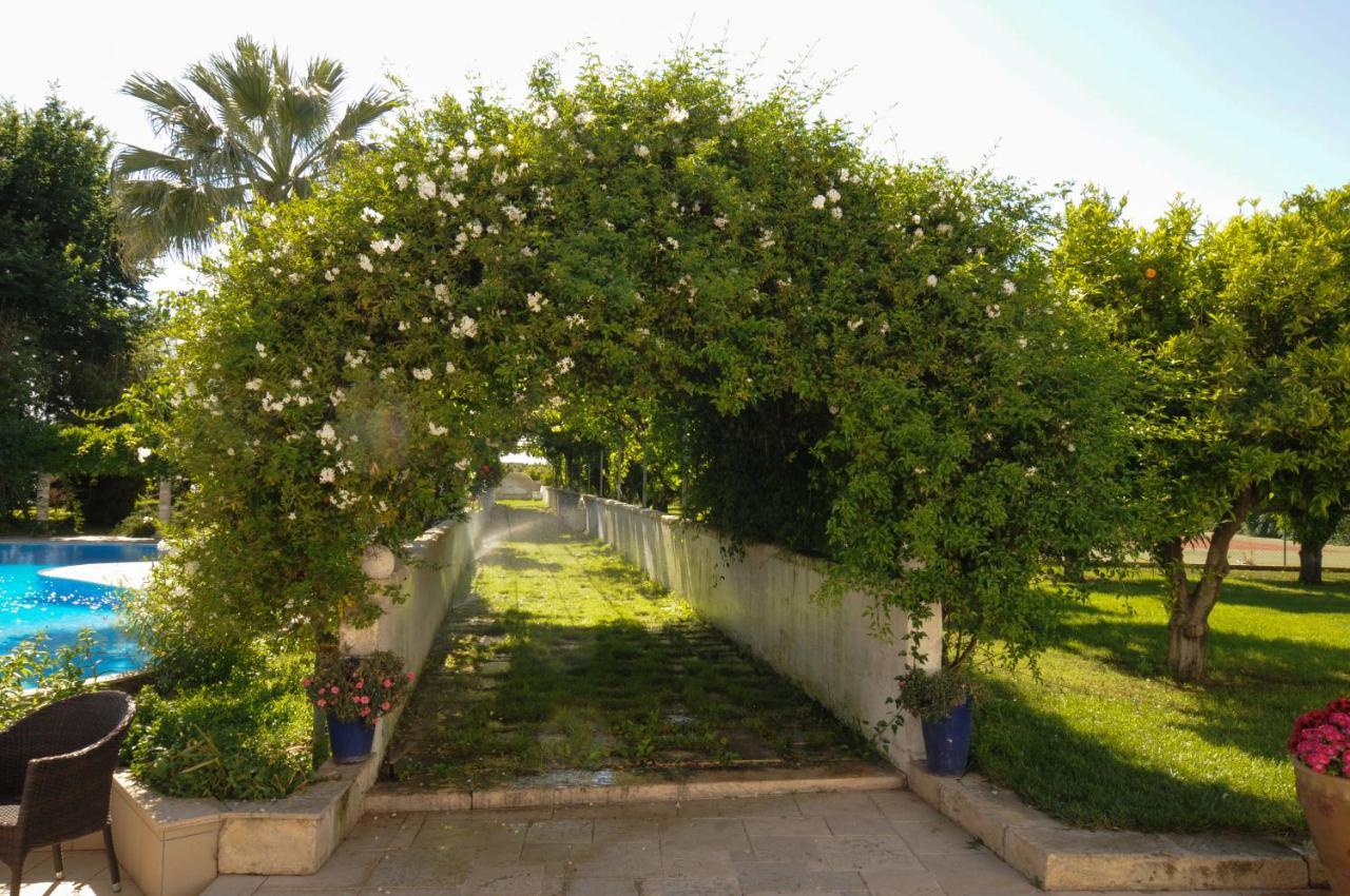Masseria La Brunetta マッサフラ エクステリア 写真